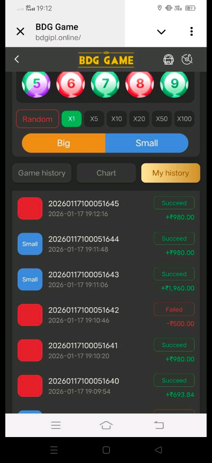 Bdg Platform Network Marketing