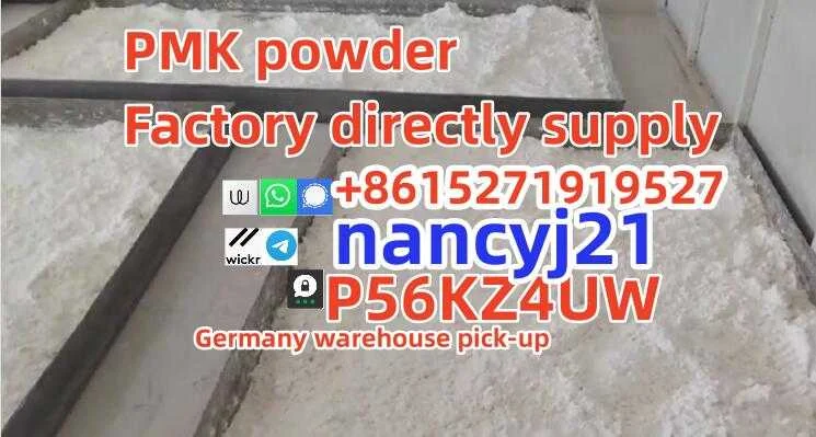 Bmk Powder 5449-12-7 41232-97-7 80532-66-7 P2p APAAN Warehouse Pickup 