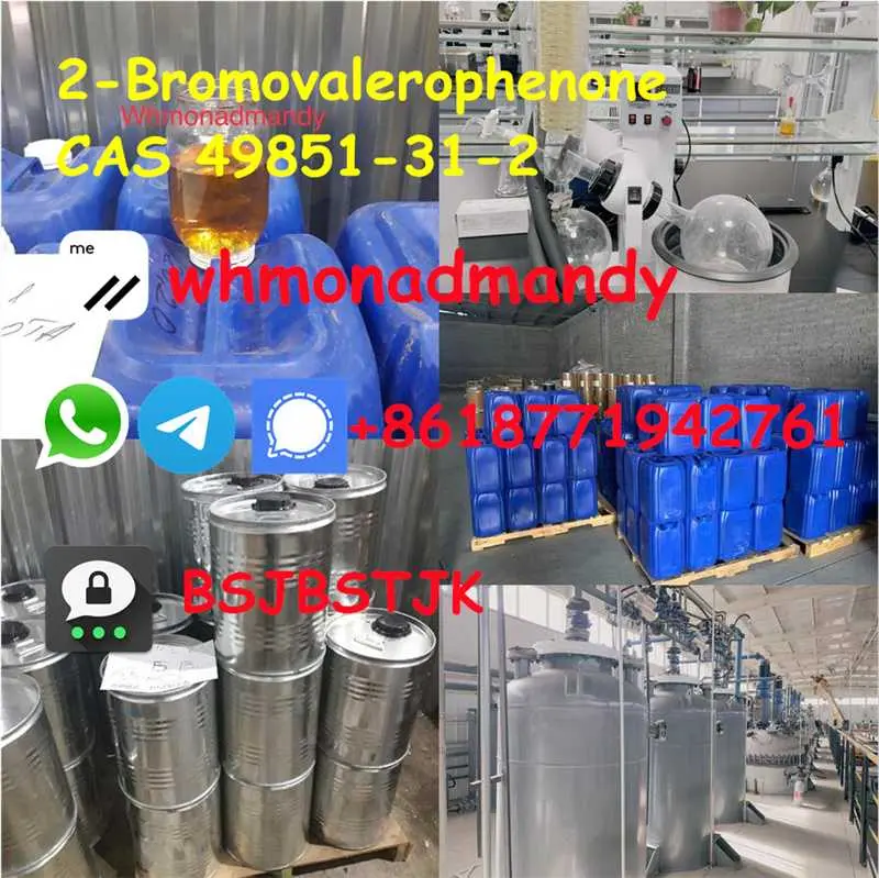 CAS 49851-31-2 China Supplier 49851 31 2 2-Bromovalerophenone
