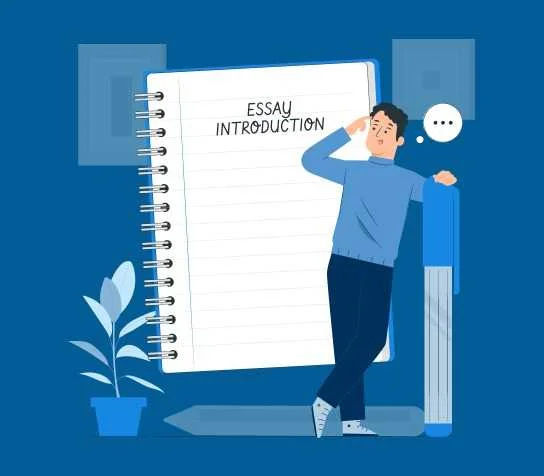 Essay In USA