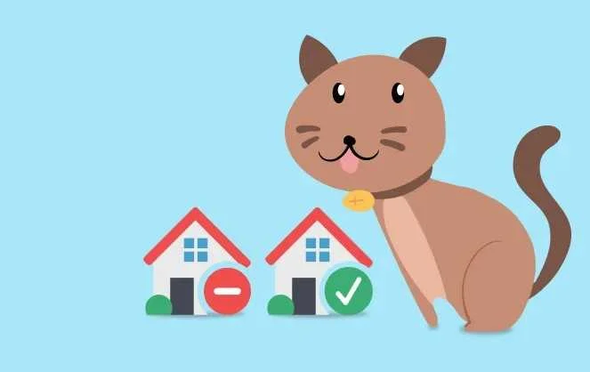 Going Pet-Friendly: ESA Letters Clarify Requirements For Housing