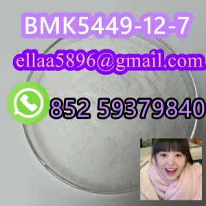 Big Discount BMK 5449-12-7 White Powder 