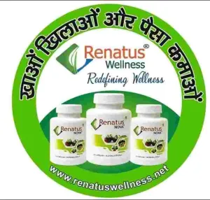 Healthy Lifestyle Renatus Wellness Pvt Ltd