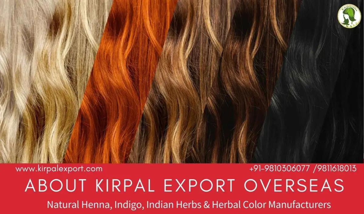 Henna Wholesale Supplier From India