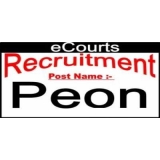 PEON Government Recruitments 2017 ECOURTS JOBS NOTIFICATION