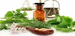 Wild herbs and ayurvedic Herbal medicines will Raman government