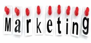 Why are people fail in Network Marketing?