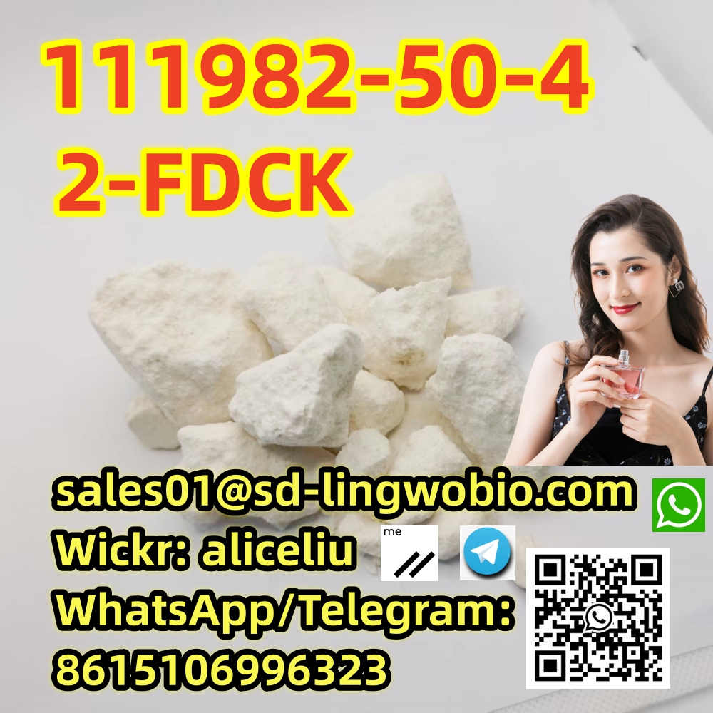  111982-50-4 2-FDCK C13H16FNO 2-fluorodeschloroketamine