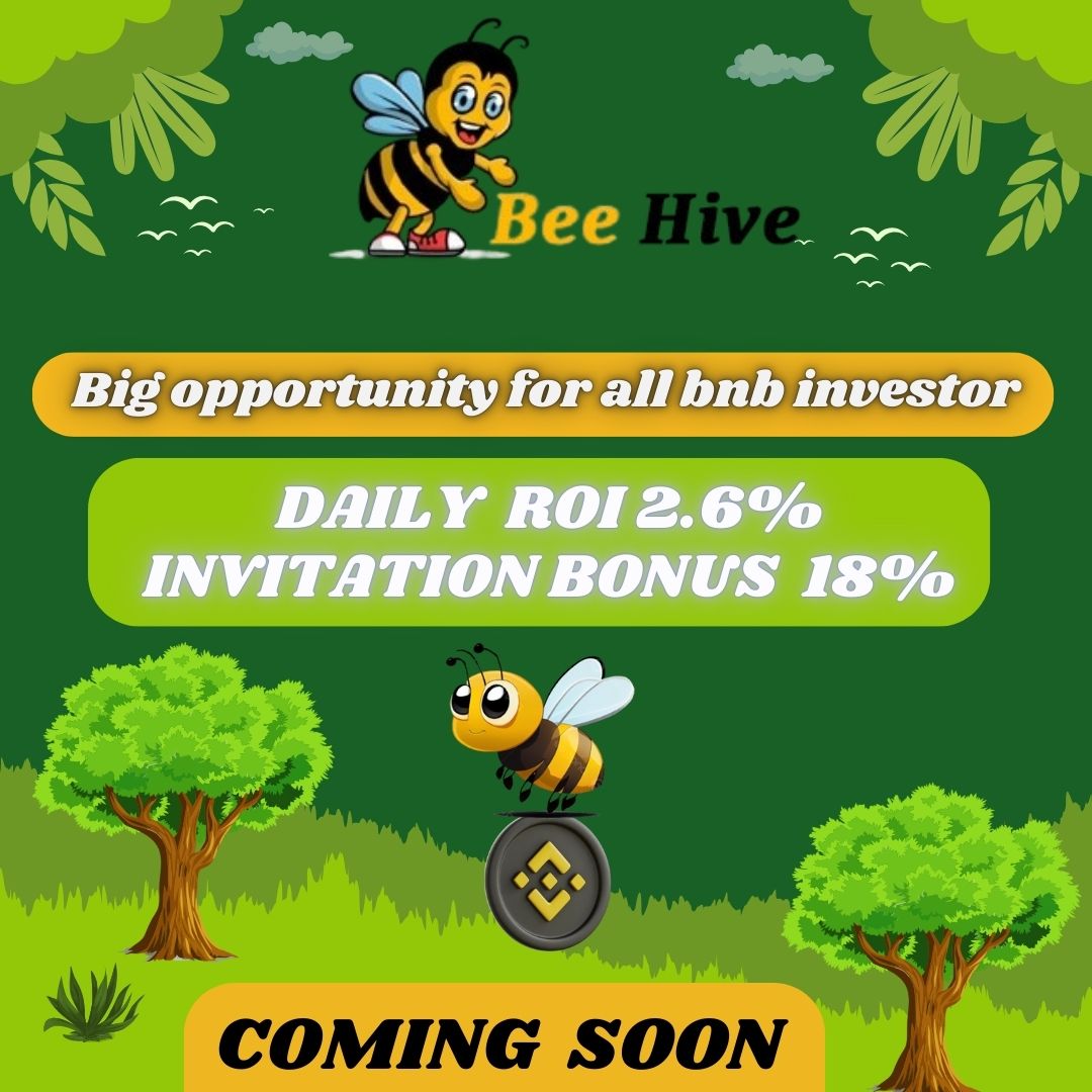 Beehivebnb Launching Soon Plan