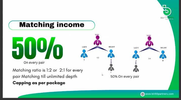 Bit50 ( Earn $300 Dollars Every Single Day )