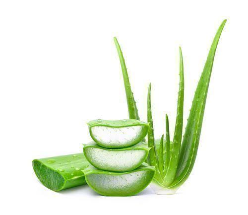 Buy  Aloevera Spagyric Drops 350