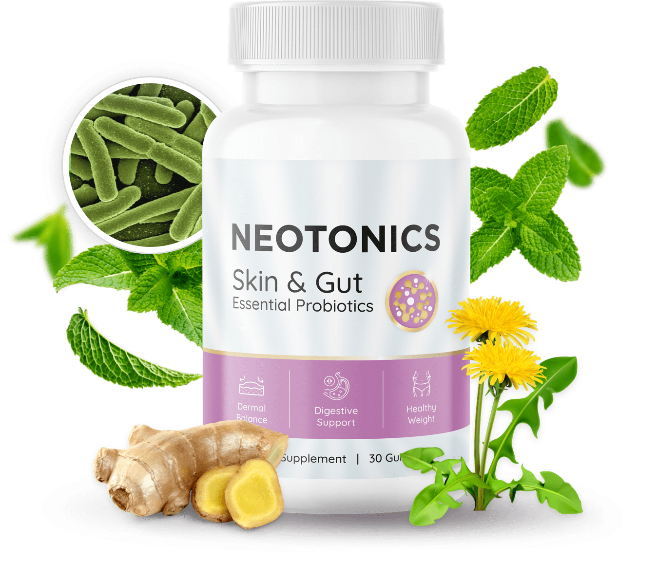 Embarking On The Neotonics Adventure: Reviving Skin & Gut Vitality