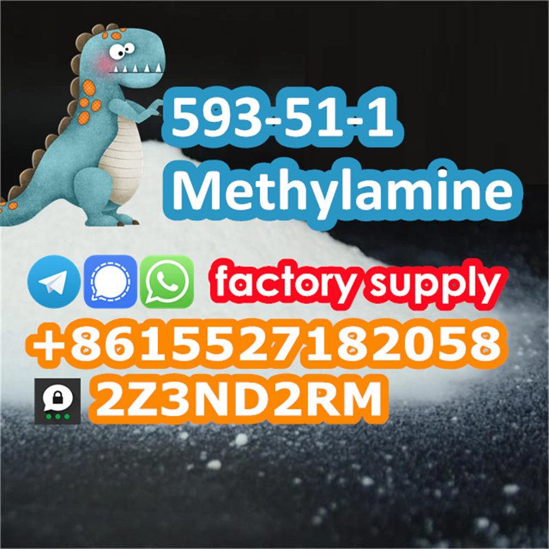 Methylamine Hcl 593-51-1 Safe Line To Russia Kazakhstan