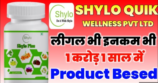 SHYLO QUICK WELLNESS P LTD