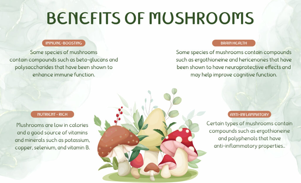 Where To Buy Mushrooms Psychedelic