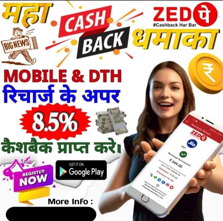 Zpay earning money