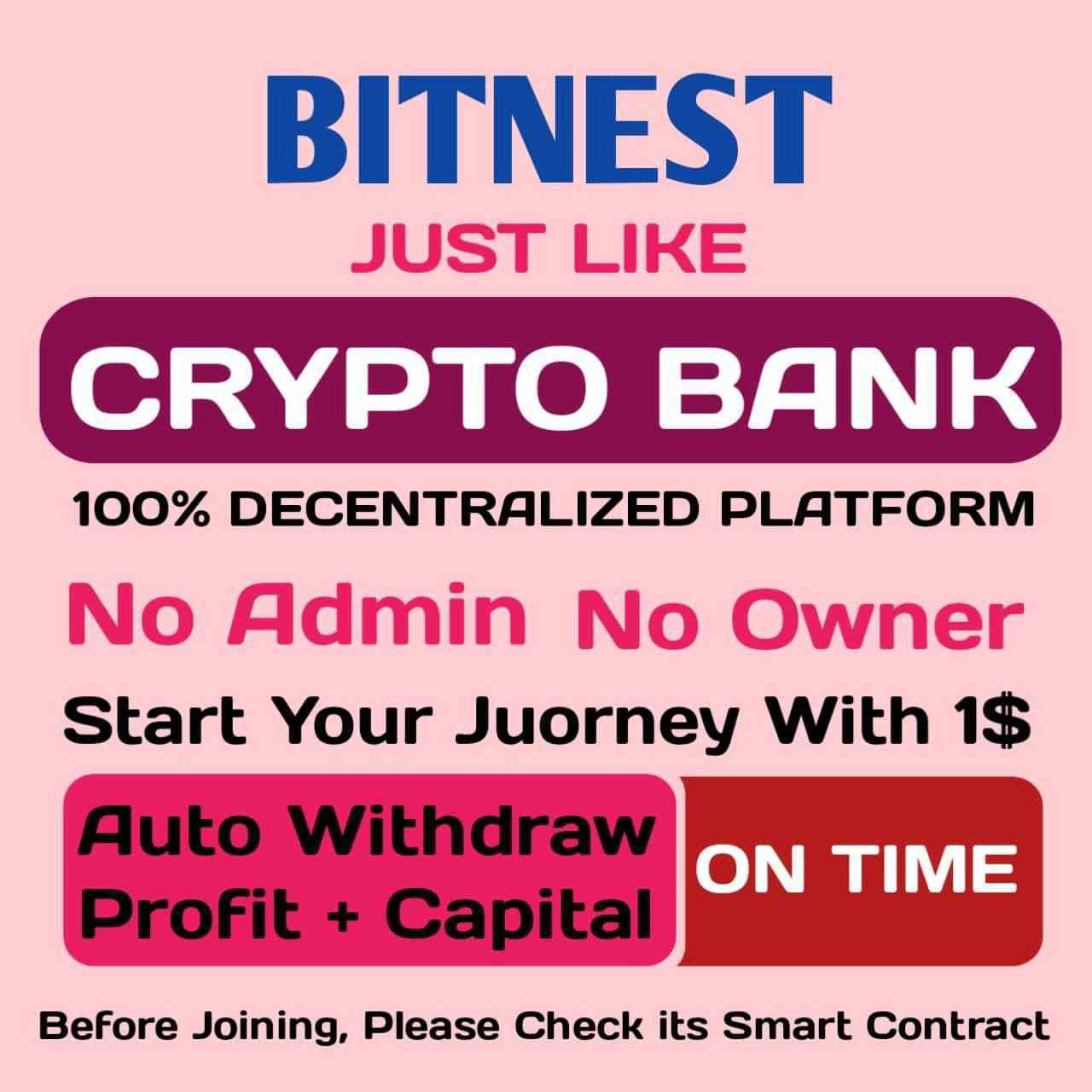 Bitnest Fully Decentralised Plan Deployed On Block Chain