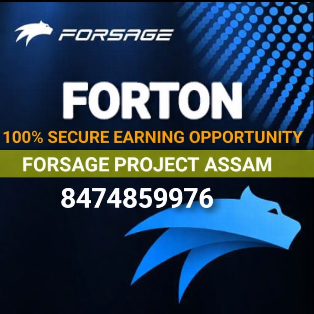 Forton And Forsage Marketing Plan