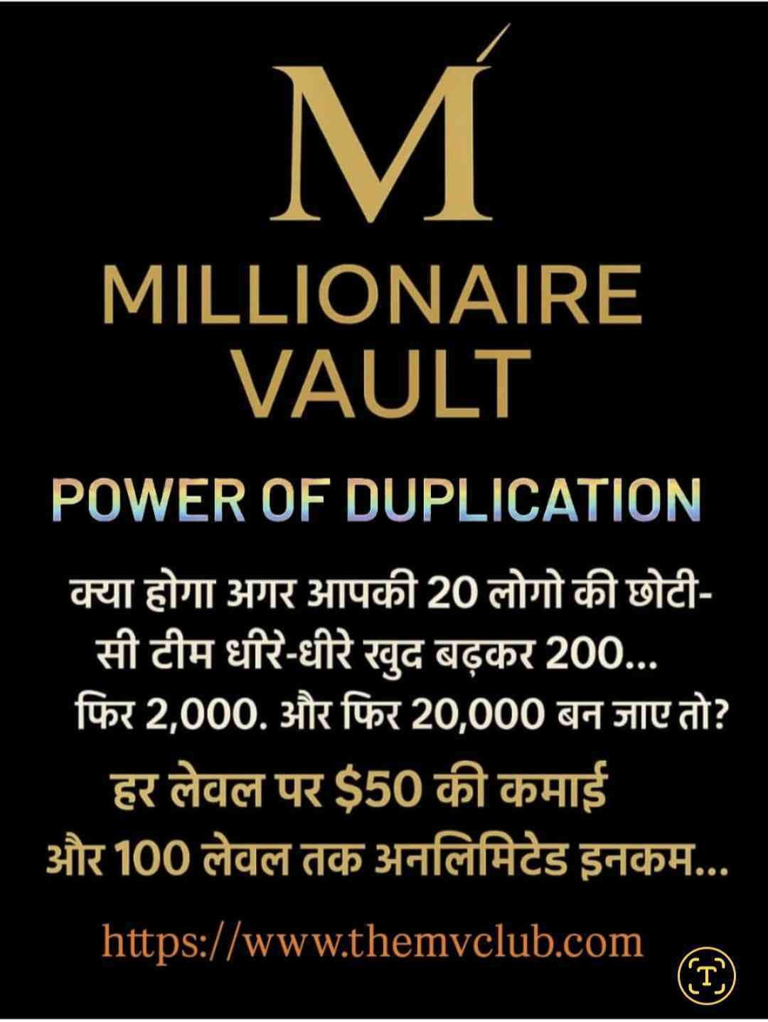 Millionairevault Business Palan