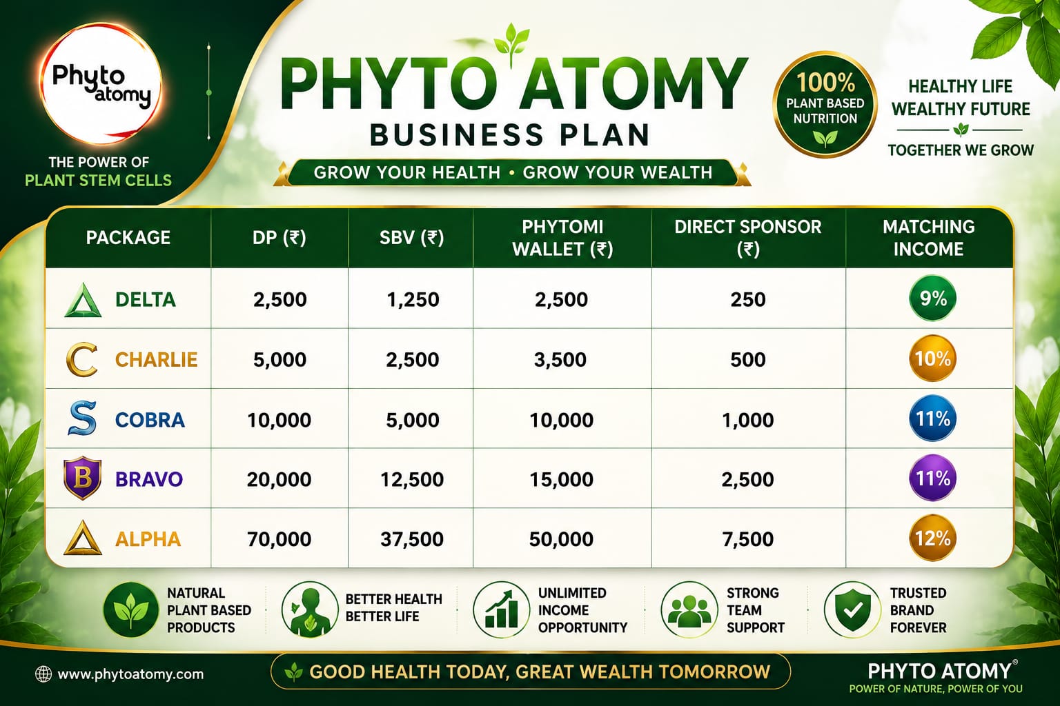 Phyto Atomy Bussiness Plan 7891188055