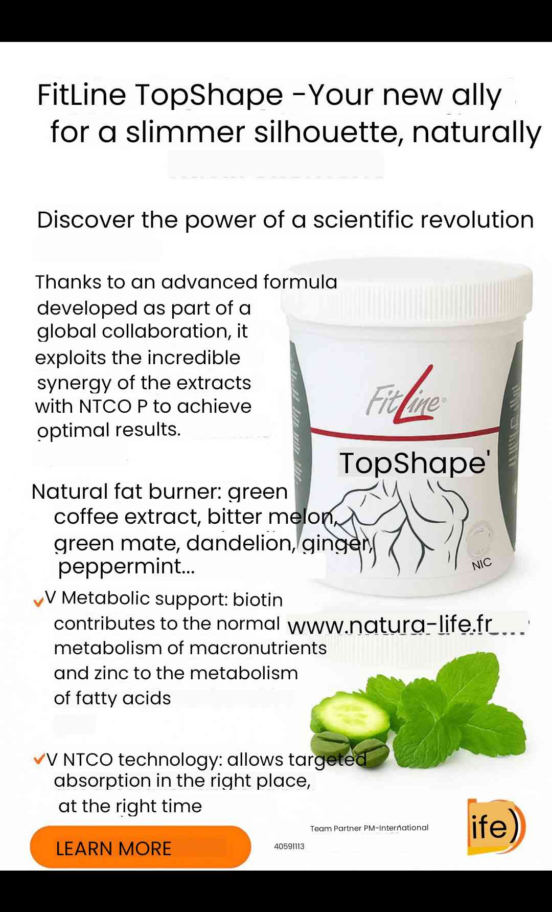 Pm International India Private Limited