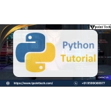 "The Essential Python Tutorial: A Step-by-Step Learning Path"