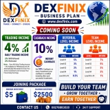 DEXFINIX - BUSINESS PLAN LAUNCHING COMING SOON
