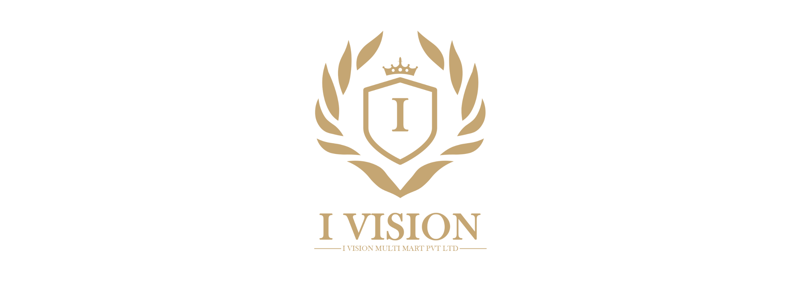 I Vision Multi Mart Private Limited