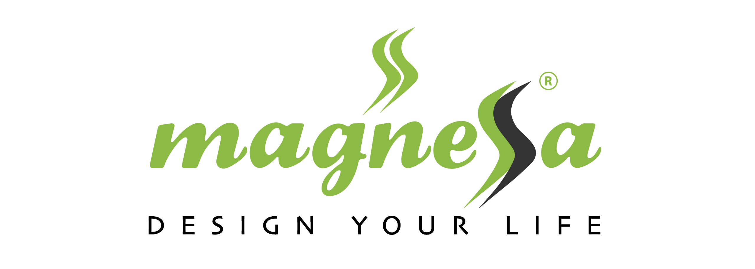 Magnessa Enterprises Private Limited