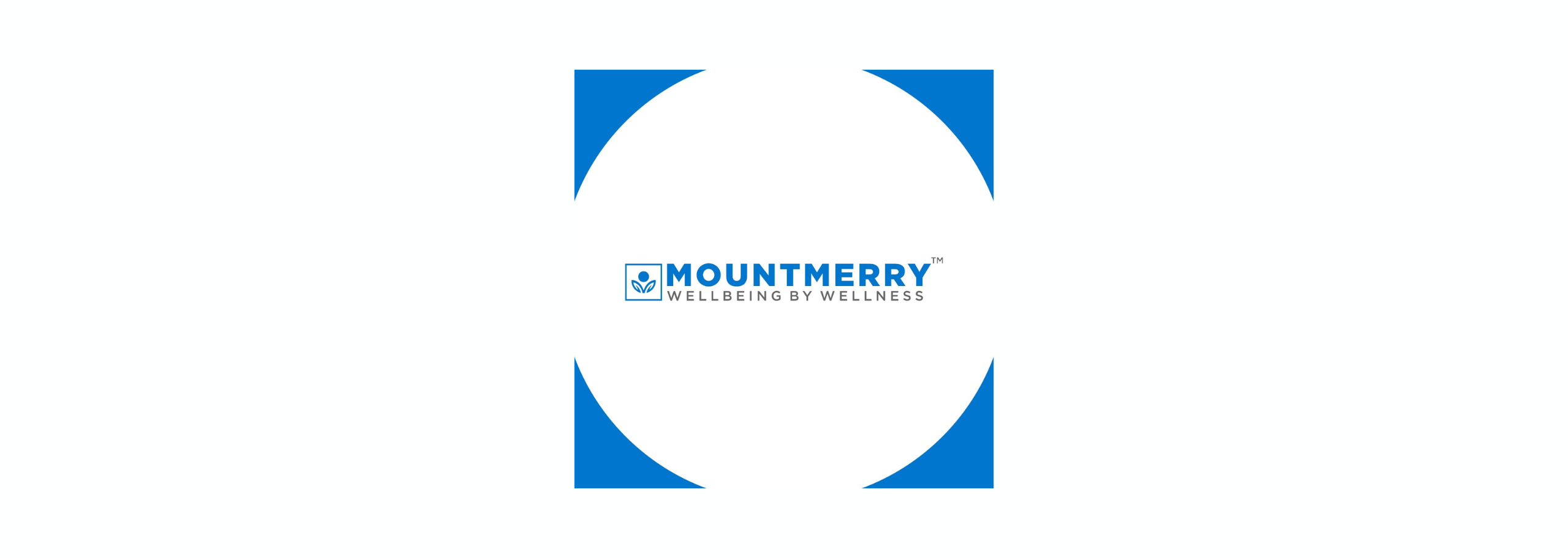 Mountmerry Pro International Private Limited