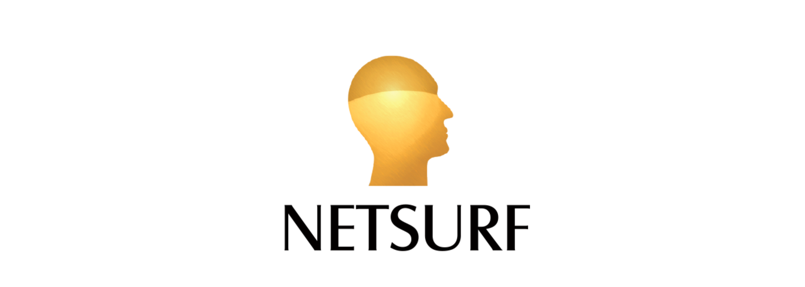 Netsurf Communications Private Limited