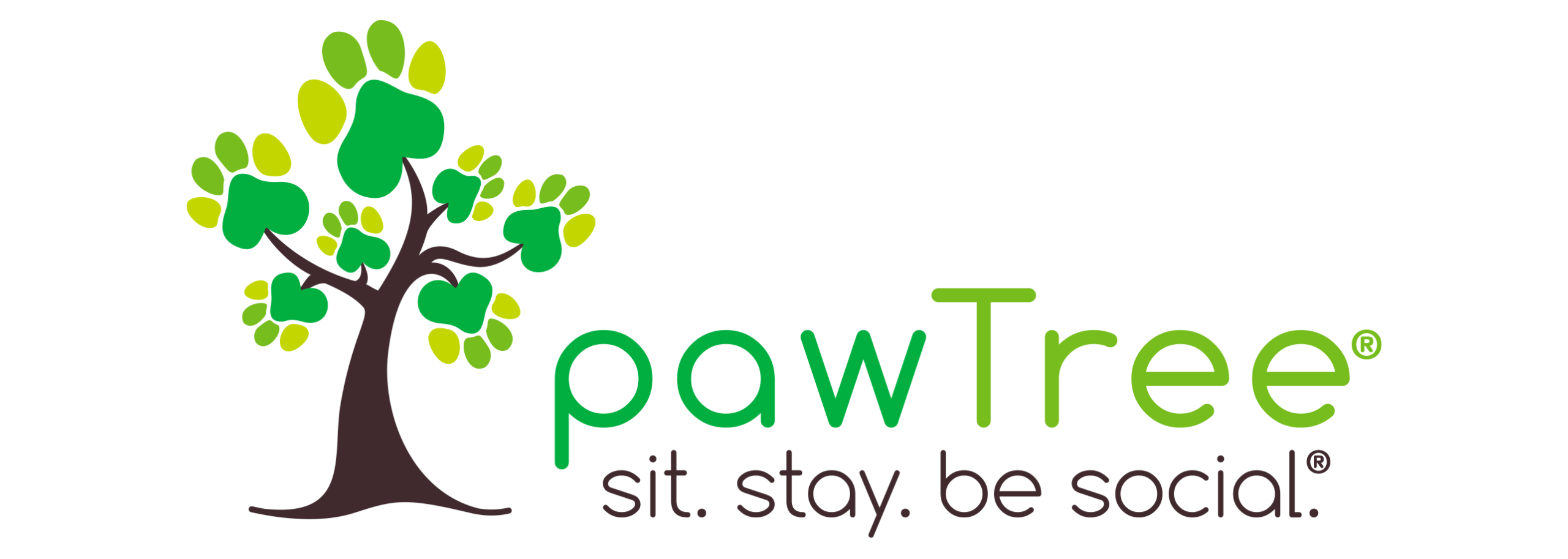 Pawtree LLC