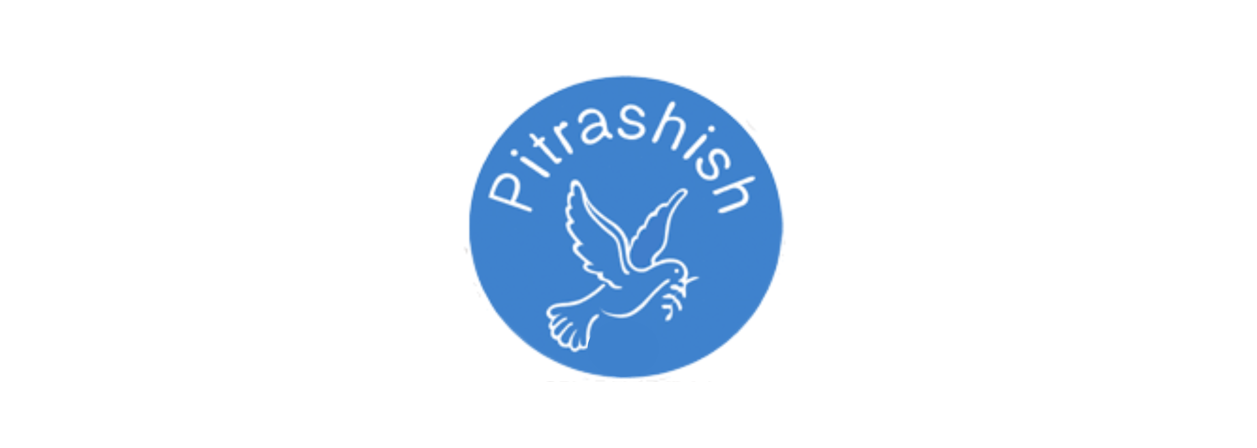 Pitrashish Marketing Enterprises Private Limited
