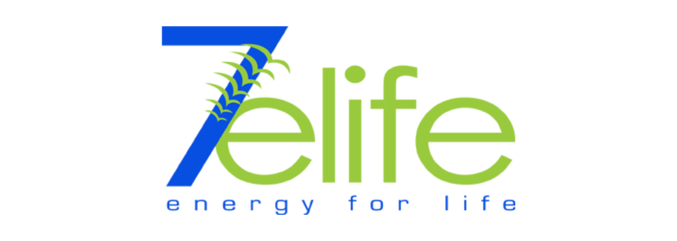 Seven Elife Energies System Private Limited