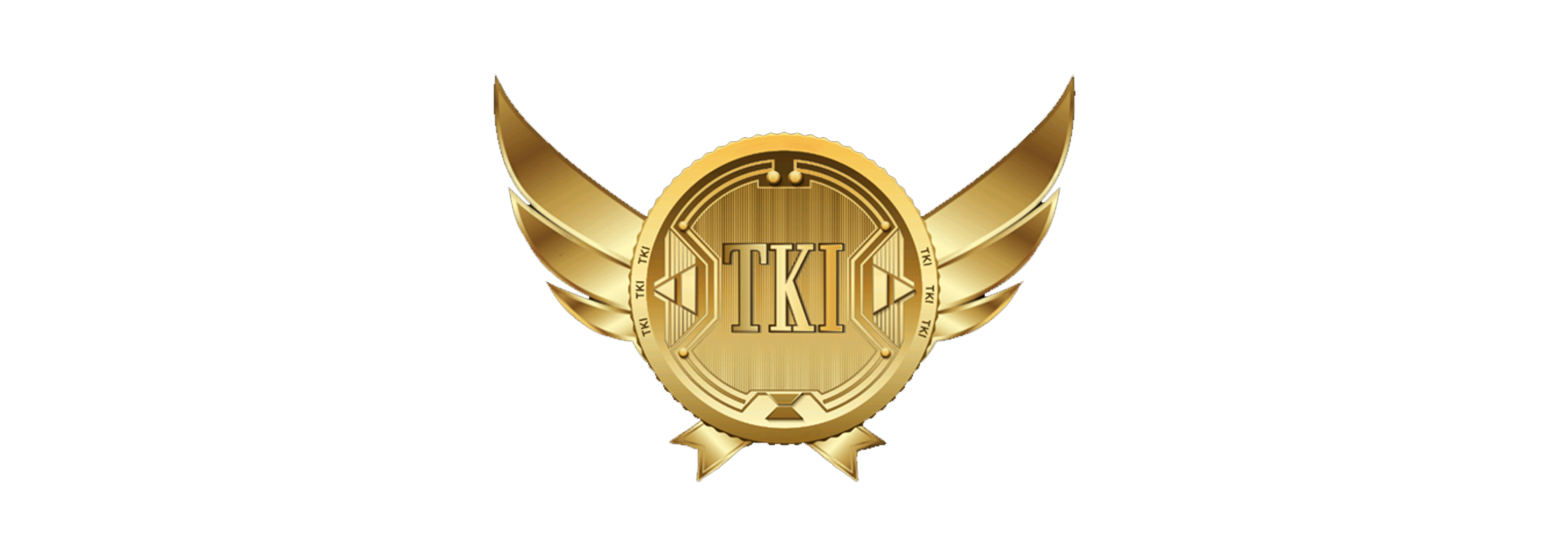 Tronking India Private Limited