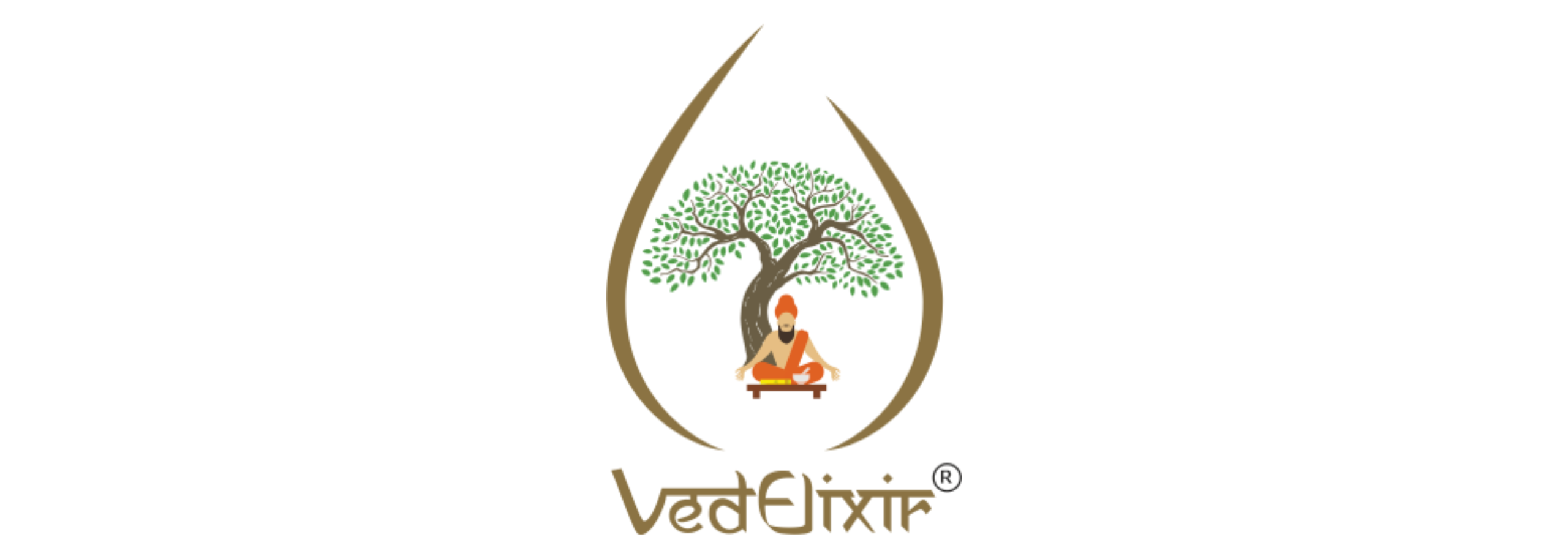 VedElixir Global Private Limited