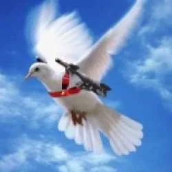 md.safiullah