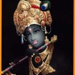 pragnesh