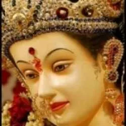 SHASHANK MAURYA