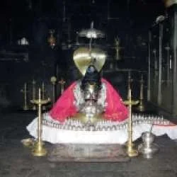 rajan gaonkar