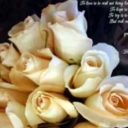 kuldeep