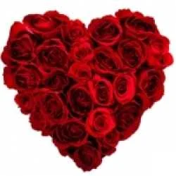 sidharth