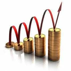 MLM ZONE