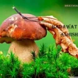 Ashish Badawat