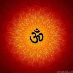 mohit