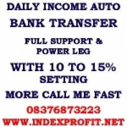 MlmBiz13