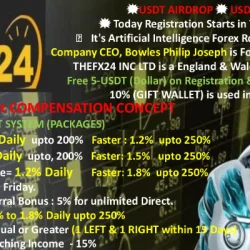 THEFX24 INC LTD
