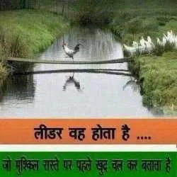 bjadav