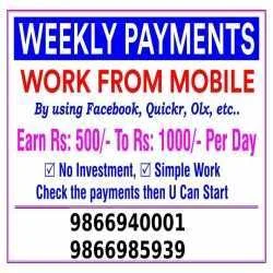online project