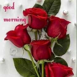 VINOD KUMAR